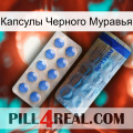 Капсулы Черного Муравья 40